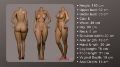 Picture of Diana / 160 cm  / E cup / Silicone sex doll