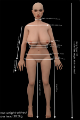 Bild von Pauline 155cm / Körbchengröße G / Silikon Sexpuppe