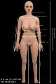 Picture of Angelina 160cm / F cup / Silicone sex doll