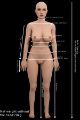 Picture of Giorgia 158cm / D cup / Silicone sex doll