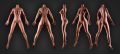 Picture of Mei 161 cm / D Cup / Silicone Realistic Sex Doll