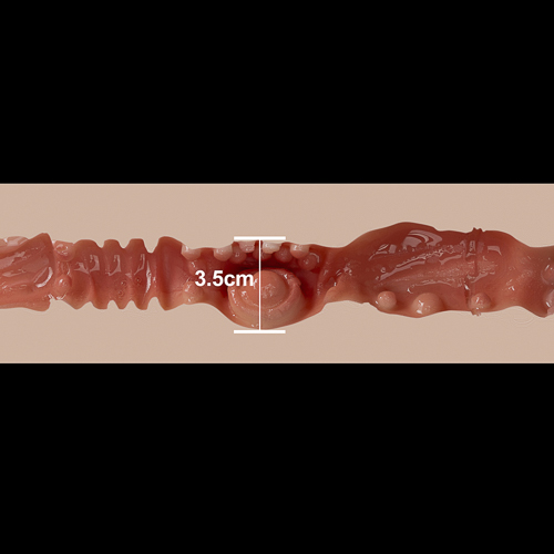 3,5 cm