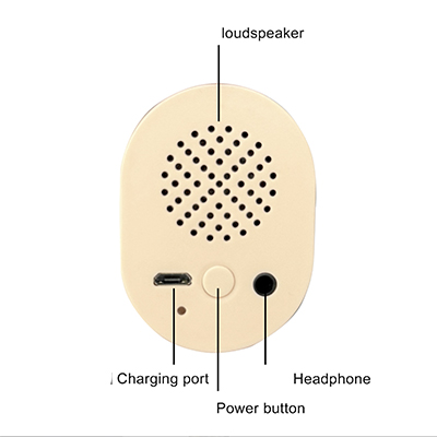 Audio in head - only with moaning function [+€55]