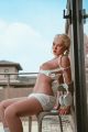 Bild von Tina / 160 cm / A Körbchengröße / TPE sexdoll mit Silikonkopf - M-Series