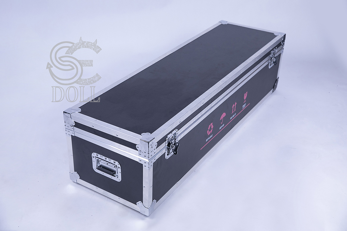 Flight case [+$  554]