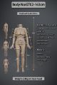 Picture of Maja 163 cm / Prsa E / Silicone sex doll
