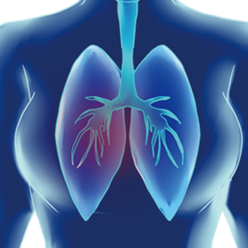 Breathing [+$  112]